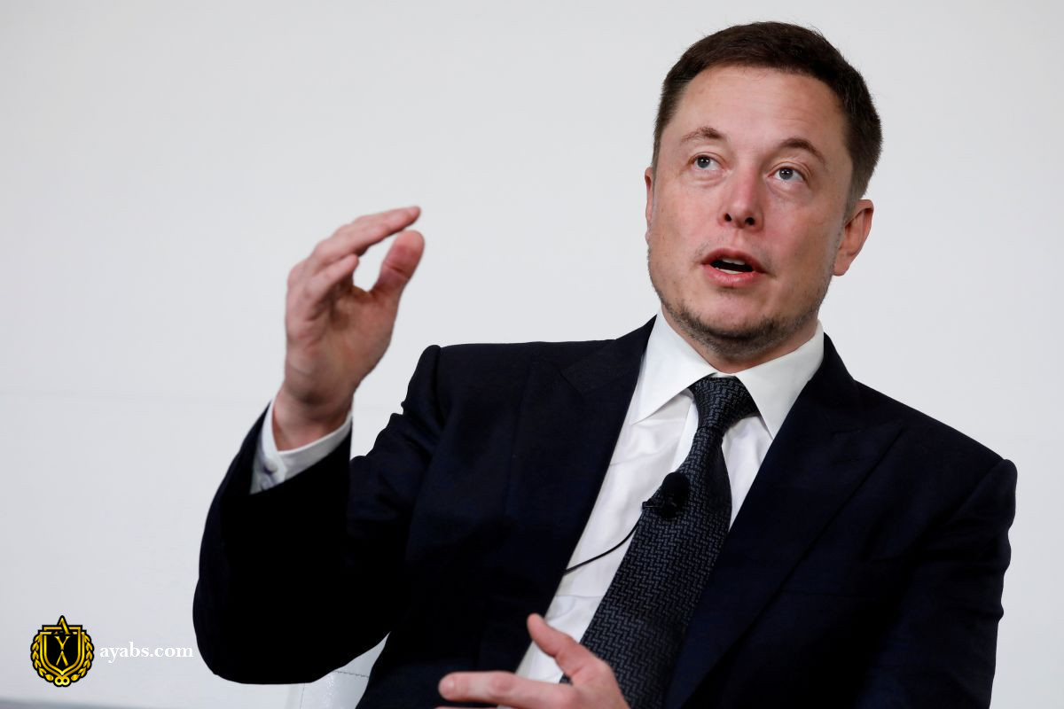 elon musk tesla 3225.0 1