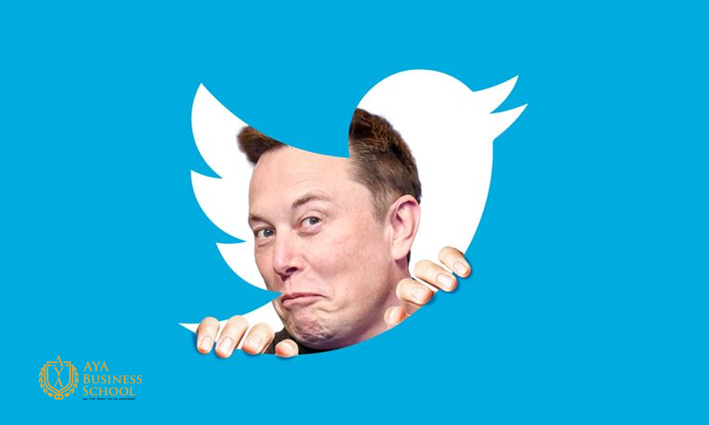 زندگینامه ایلان ماسک | همه چیز درباره ایلان ماسک وداراییهایش 5 خرید سهام توییتر توسط ایلان ماسک