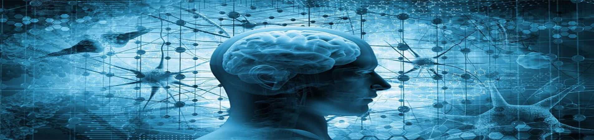 NLP چیست