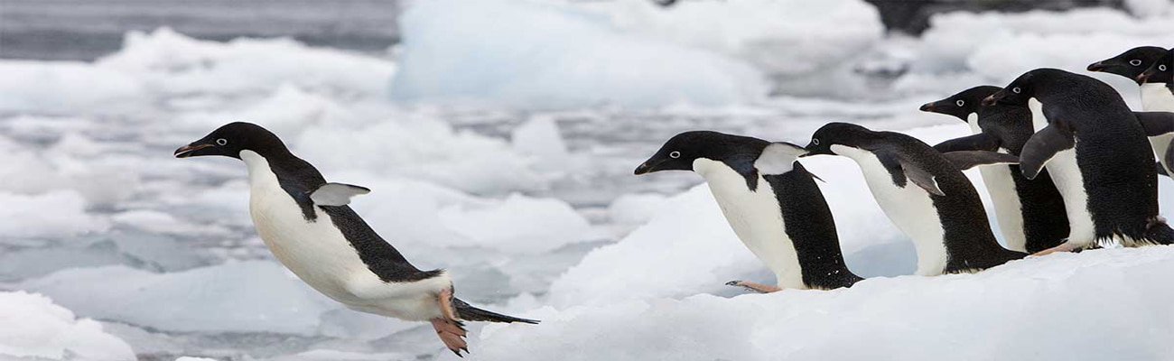 تفاوت مدیریت و رهبری