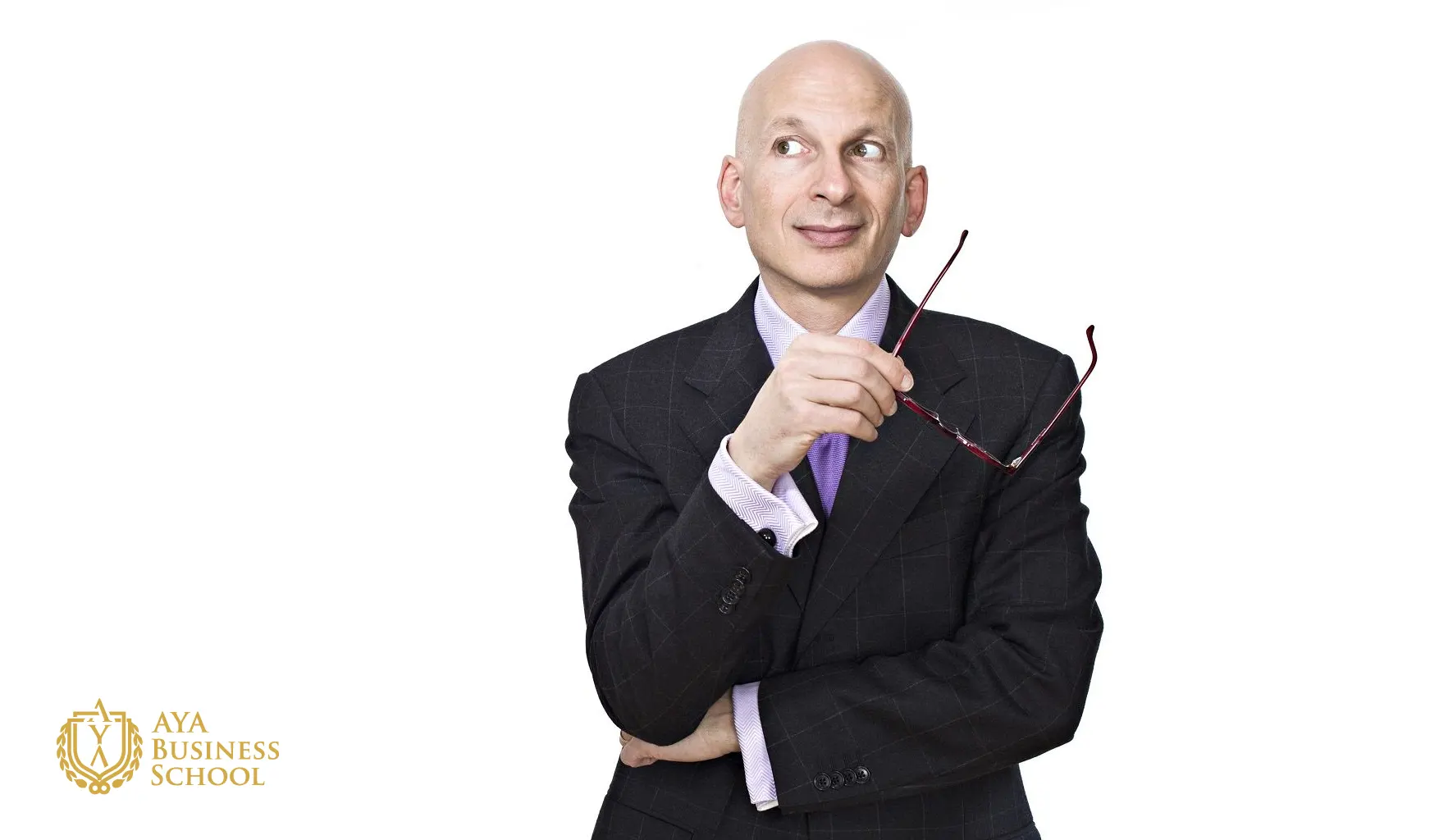 ست گادین seth godin
