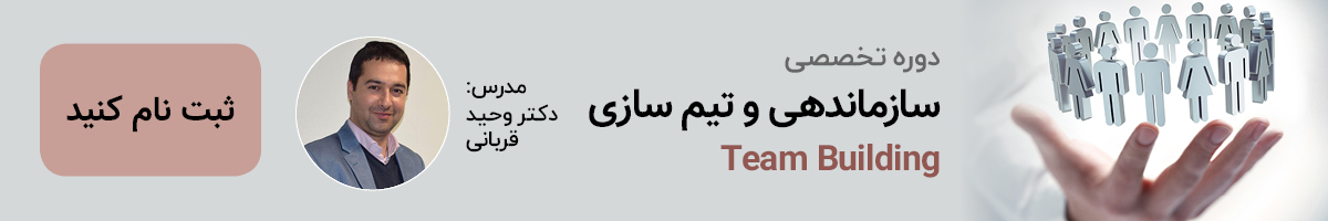 سازماندهی و تیم سازی یکی از مهم ترین و حیاطی ترین موارد موجود است که هر مدیر کسب و کار یا کارآفرینی باید توجه وافر به آن داشته باشد.