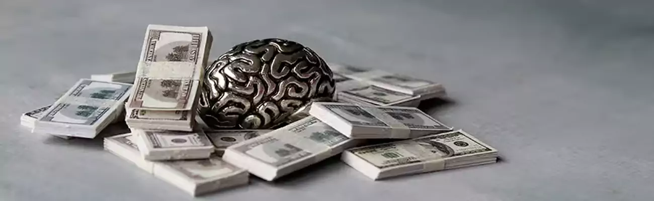 هوش مالی چیست