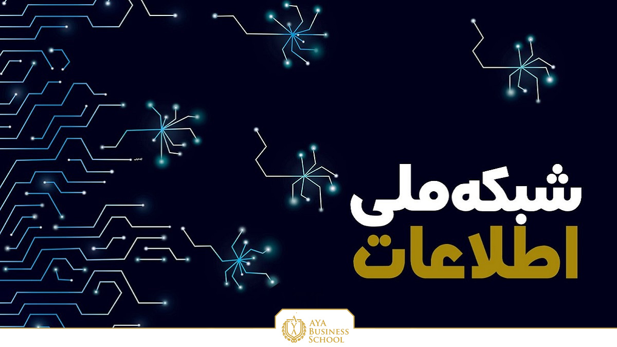 طرح شبکه ملی اطلاعات در بسیاری از کشورهای جهان اجرا شده است که باعث پیشرفت شده اما بعضی آن را تهدیدی برای آینده می دانند. اینترنت ملی، تهدید یا فرصت