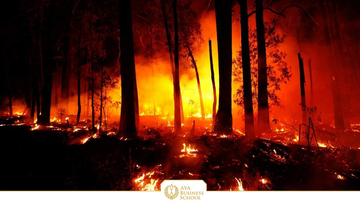 0120 bushfires GT