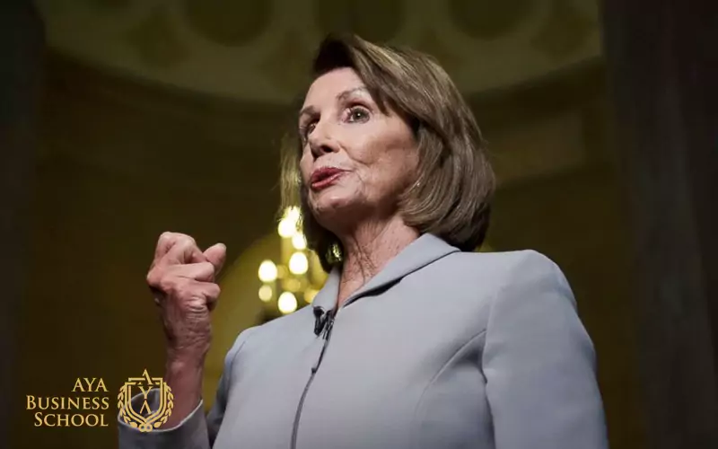 زندگینامه نانسی پلوسی 3 زندگی سیاسی نانسی پلوسی