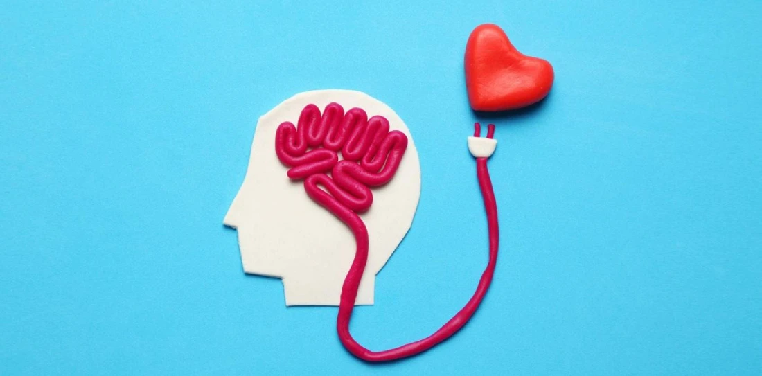 هوش هیجانی (ای کیو) مهم است یا ضریب هوشی (آی کیو)