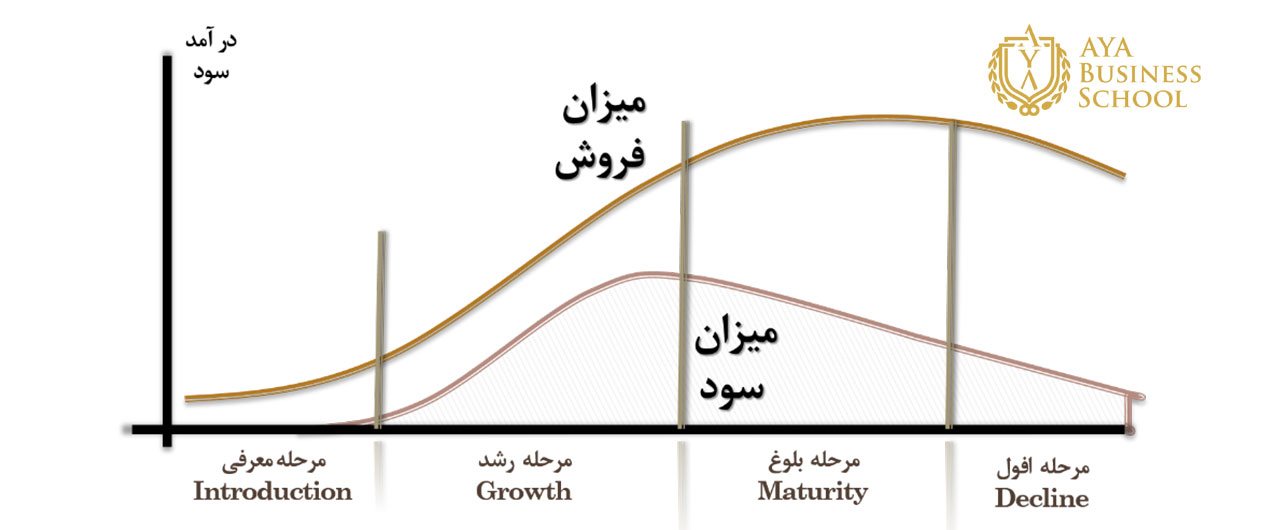 چرخه عمر محصول
