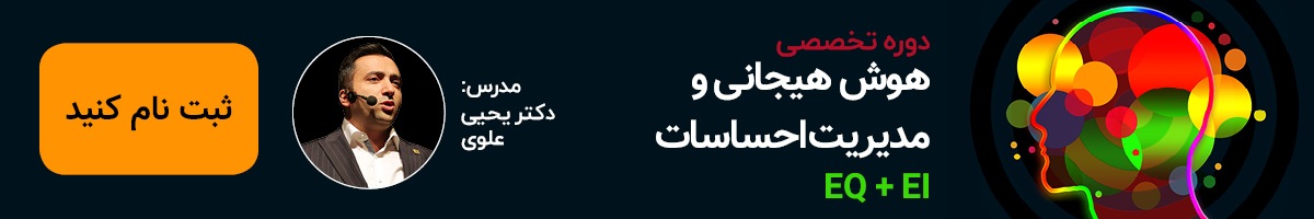 تاثیر هوش هیجانی بر فروش
