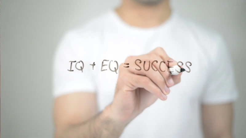 هوش هیجانی (EQ) چیست؟ چگونه آن را تقویت کنیم؟ 2 هوش هیجانی چگونه کار میکند