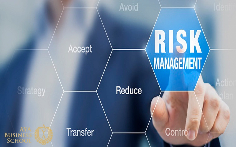 مدیریت ریسک در حوزه‌های خاص